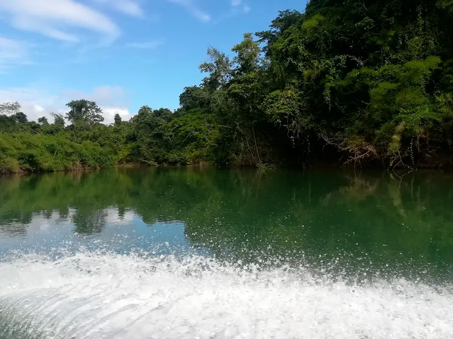 Reserva de la Biosfera Montes Azules